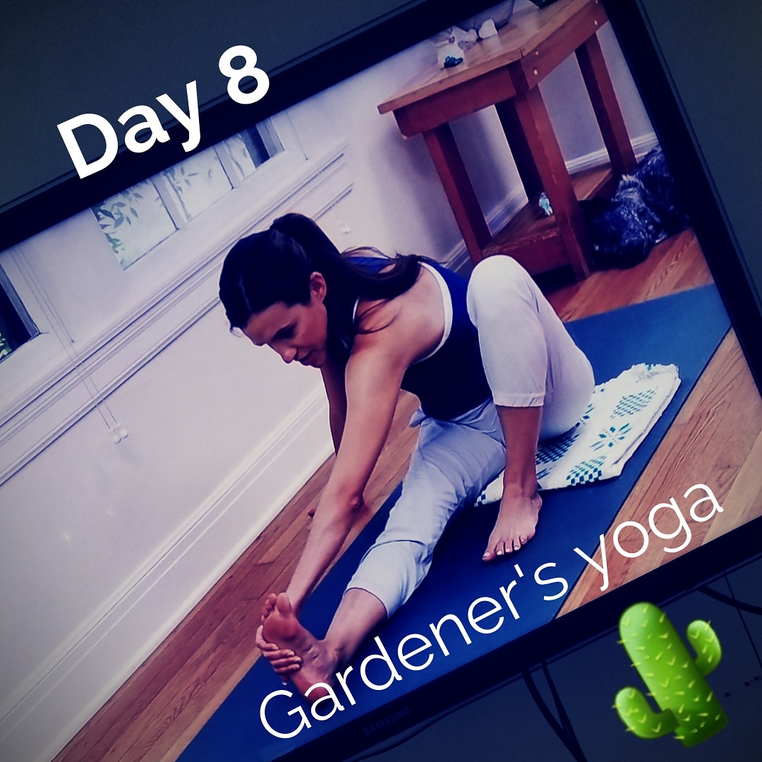 Day 8 of exercises challenge - gardeners yoga Kelly Heard Coaching