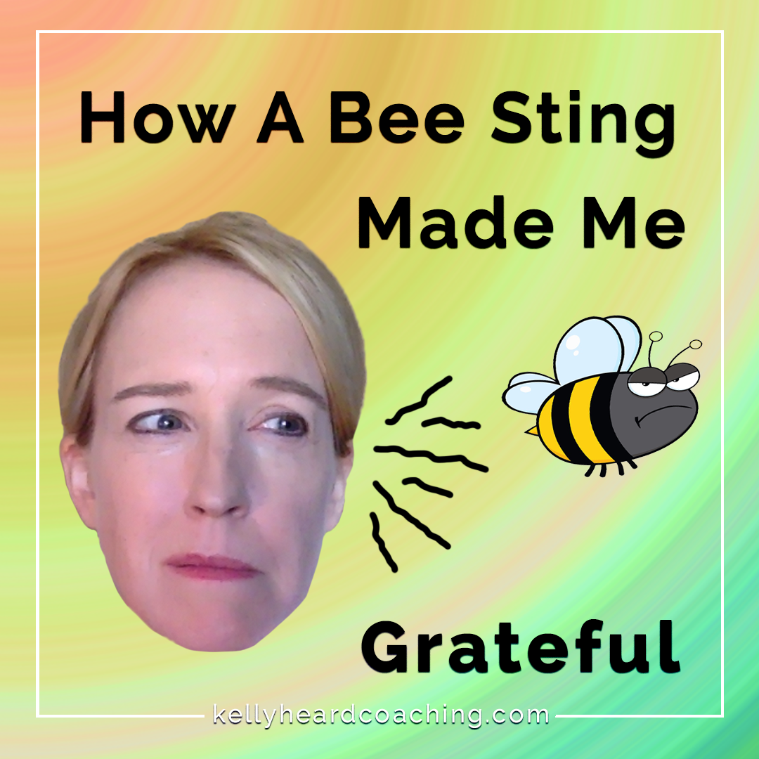 How A Bee Sting Made Me Grateful Kelly Heard Coaching