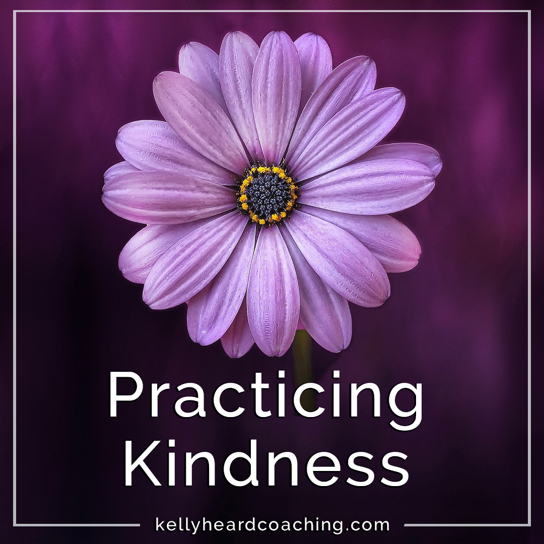 Prqcticing Kindness Kelly Heard Coaching purple gerber daily